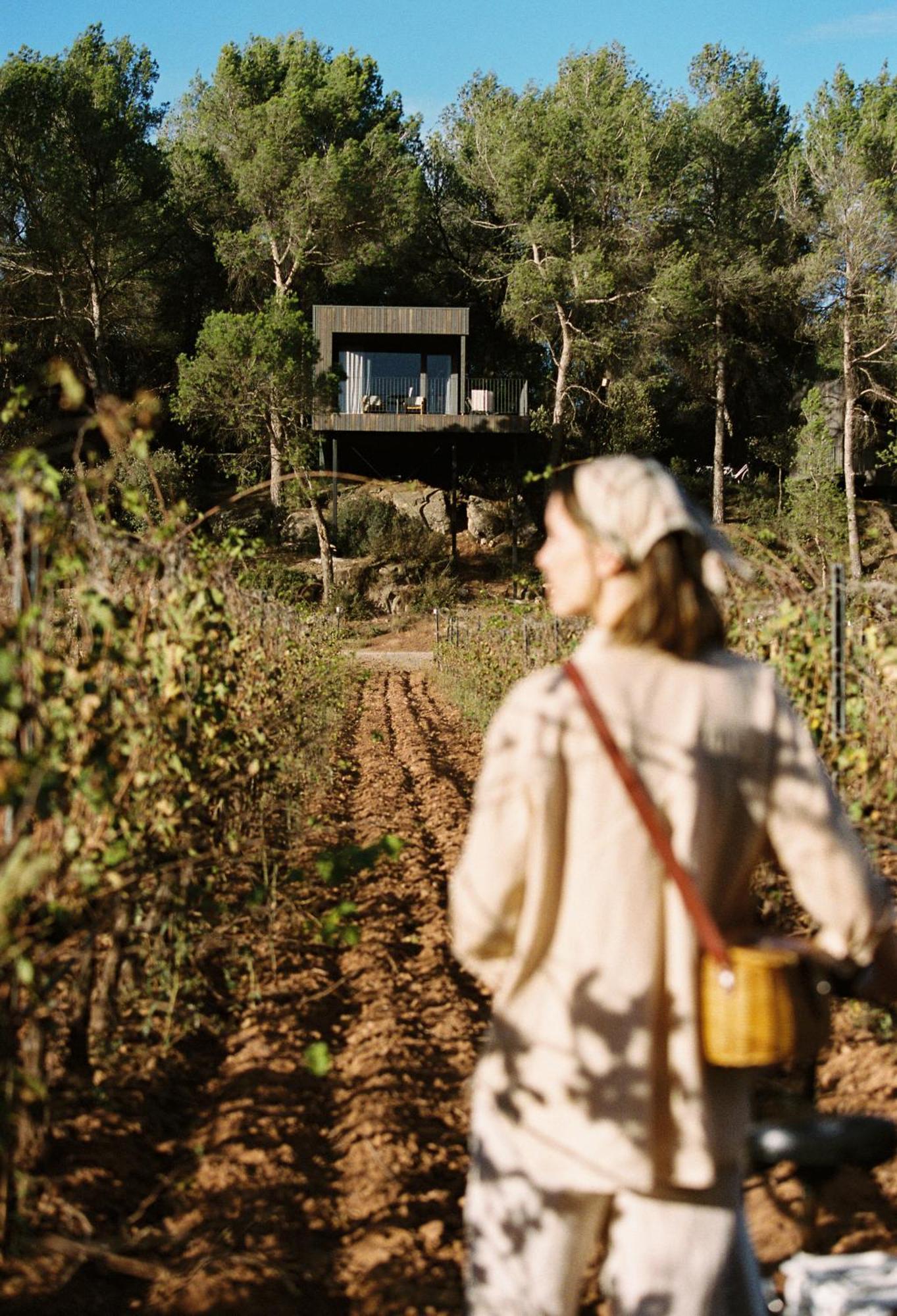 Les Cabanes De L'Oller Del Mas Manresa Dış mekan fotoğraf