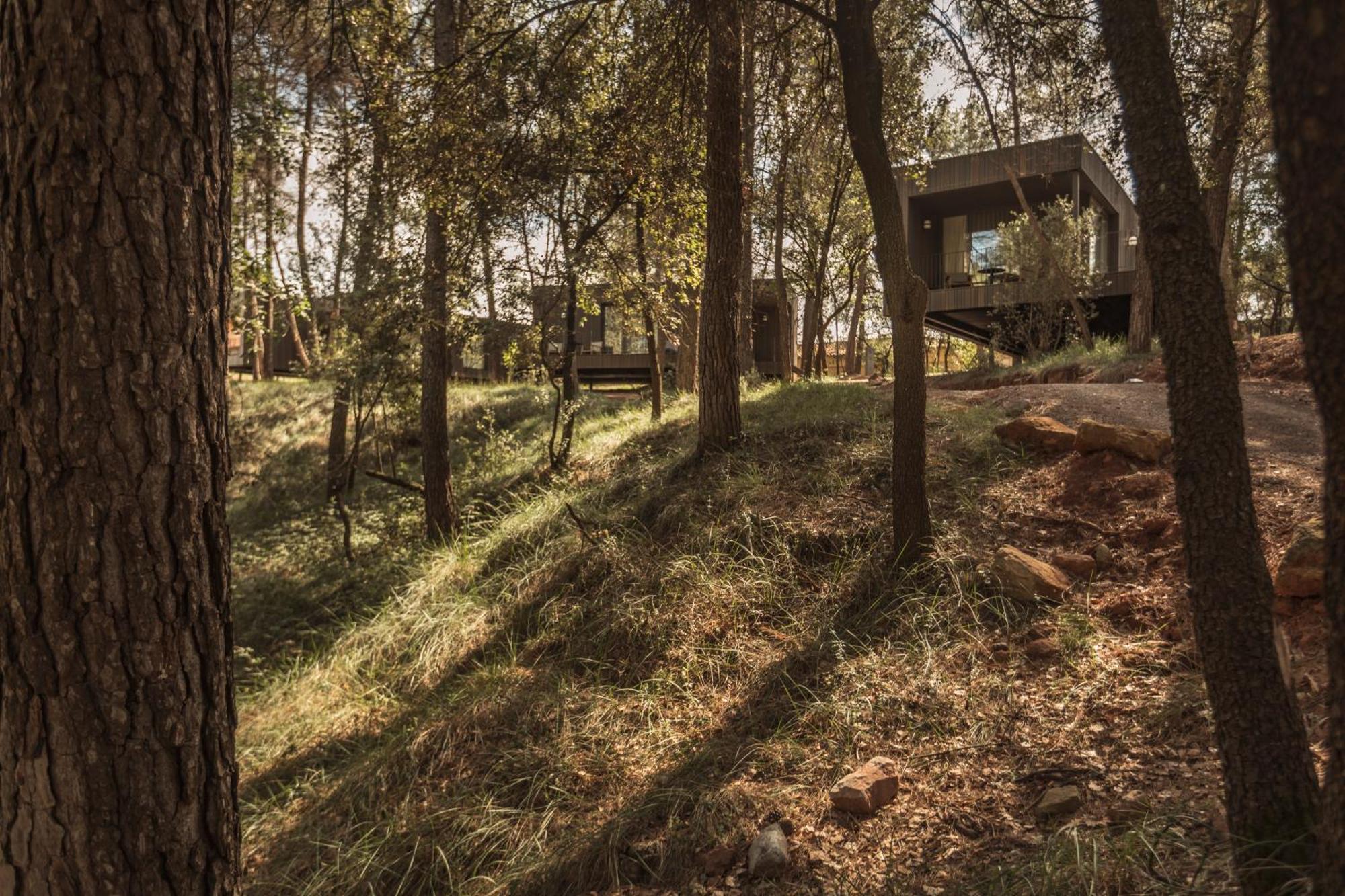 Les Cabanes De L'Oller Del Mas Manresa Dış mekan fotoğraf