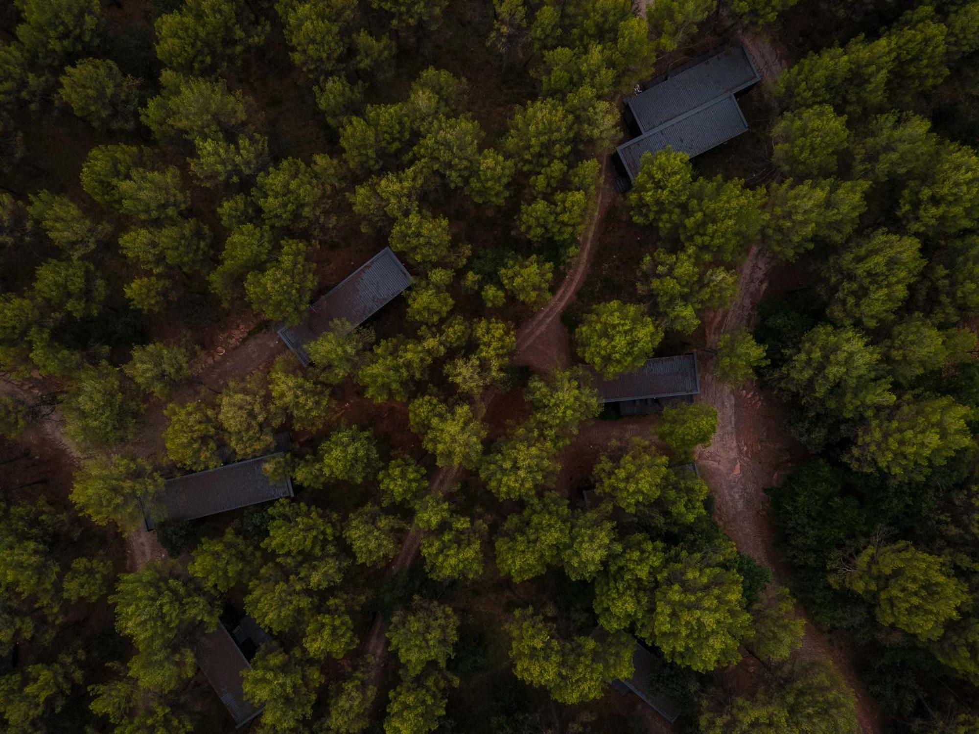 Les Cabanes De L'Oller Del Mas Manresa Dış mekan fotoğraf